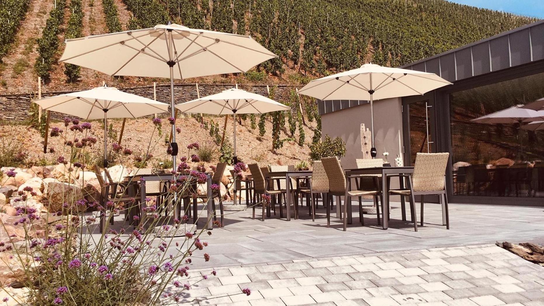 Altes Loerscher Winzerhaus メーリング エクステリア 写真